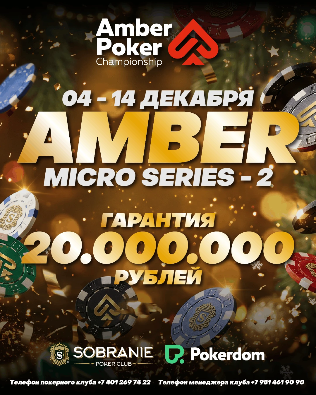 Amber Micro Series-2 | Калининград, 04 - 14 Декабря 2026