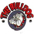 Bulldog Pub &amp; Casino logo