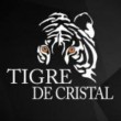 Tigre Poker Championship 