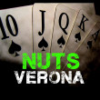Nuts Poker Verona logo